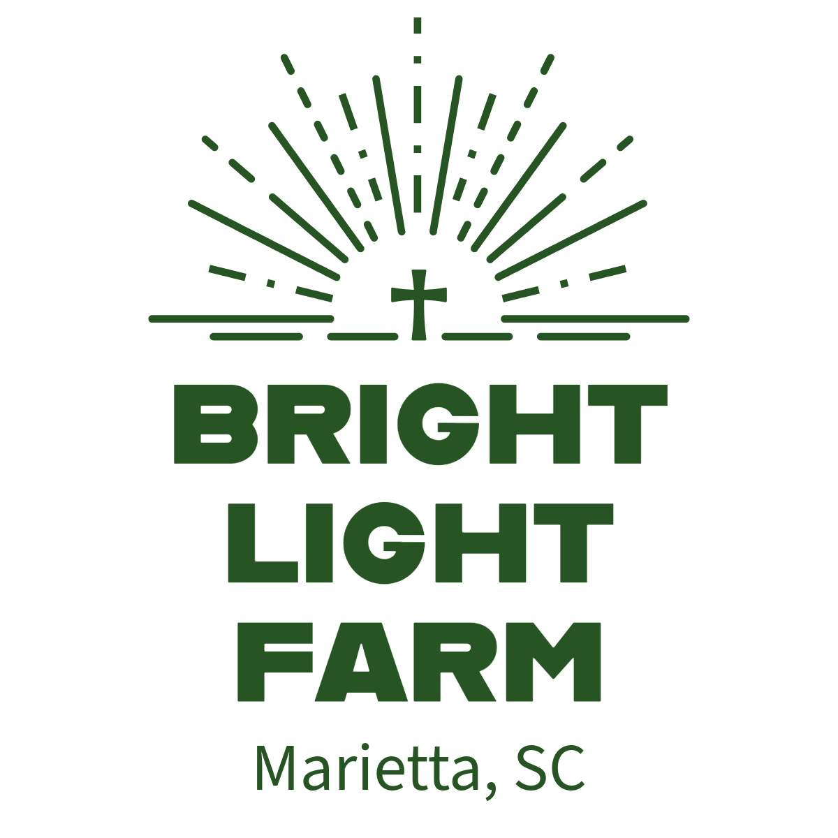 Bright Light Farm logo